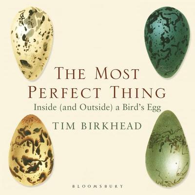 The Most Perfect Thing - Tim Birkhead, Audio, 9781037207105