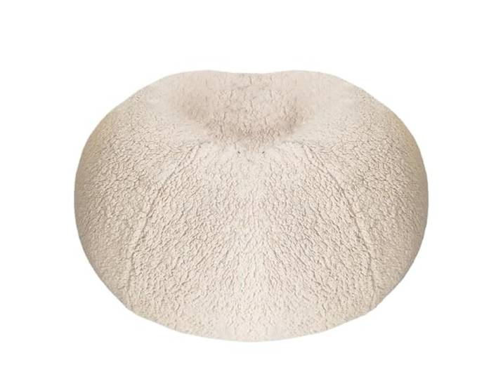 MKYYIOED Sitzsackbezug Bean Bag Pouf Cover Kein Füllstoff im Inneren(Beige,D100cm-cover)