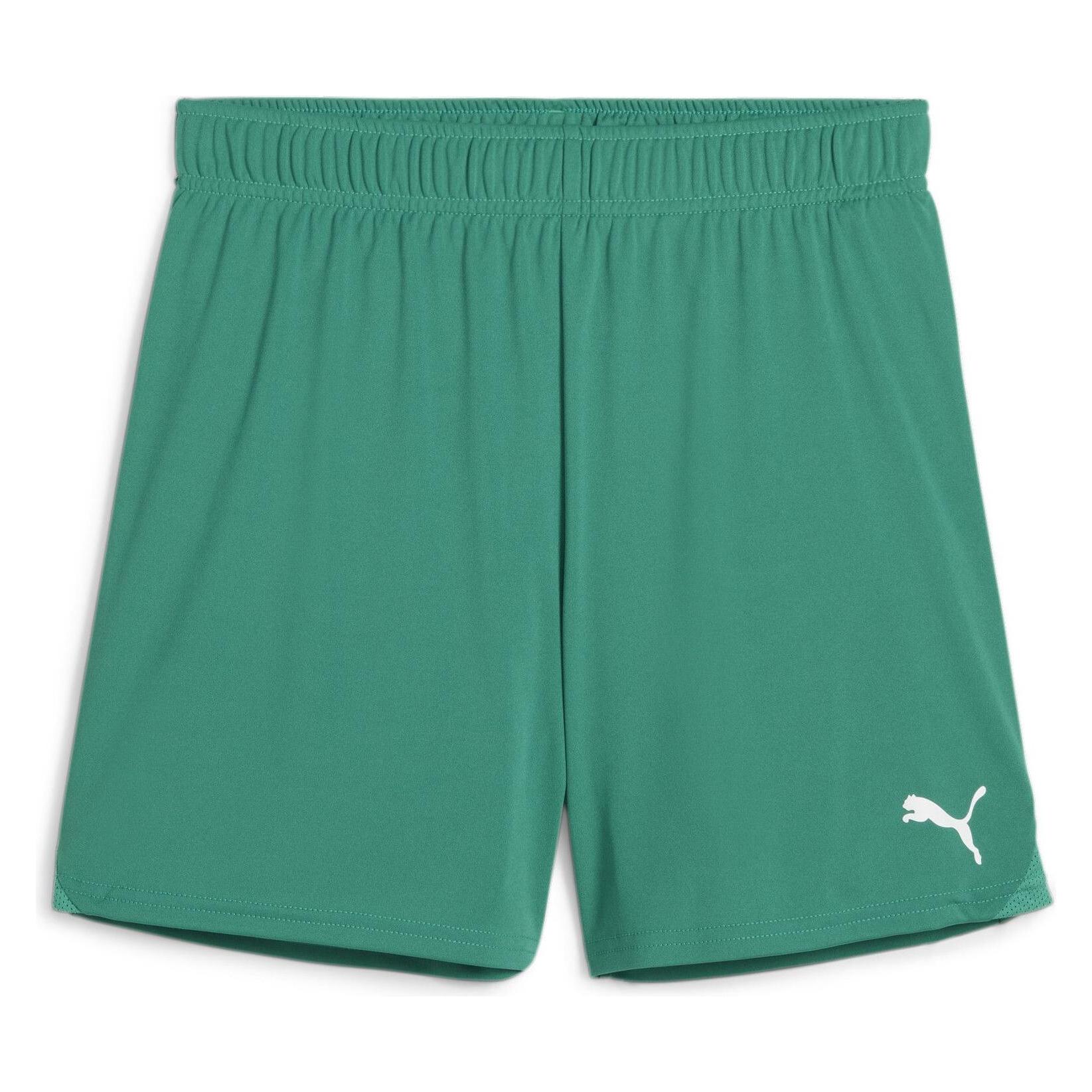 Puma teamGOAL Shorts Wmns (S) (705754_05)