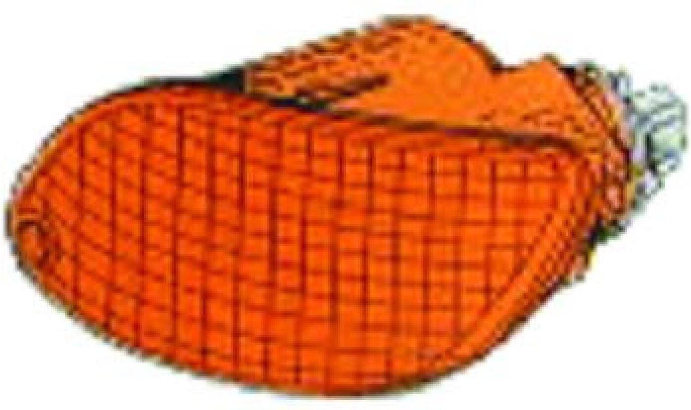 DIEDERICHS 1415070 Side indicator