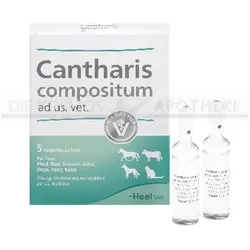 CANTHARIS COMPOSITUM ad us.vet.Ampullen 5 St