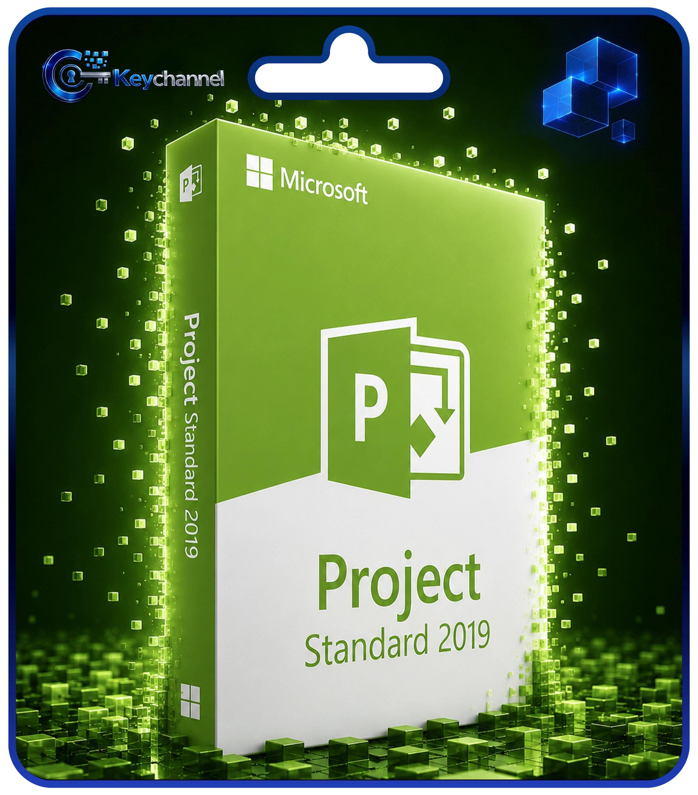 Microsoft Project 2019 Standard volledige versie permanente licentie
