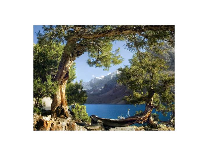 Frise Murale Montagnes Lac 180x127 Cm – Papier Spécial Avec Impression Offset – Décoration Murale Pour Chambre D'Enfants – Ag Art