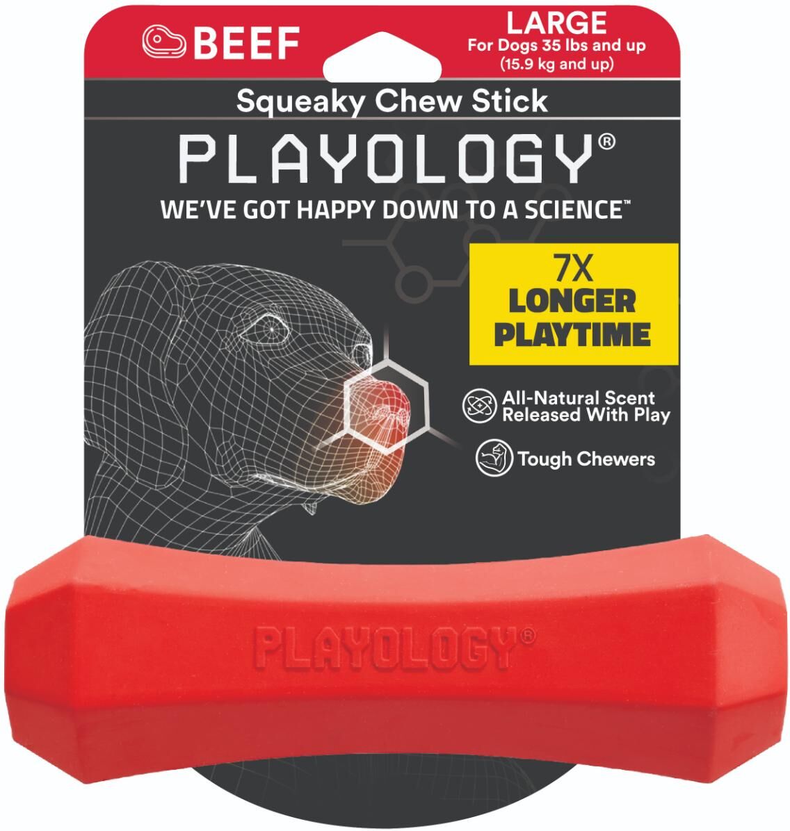 Playology Cane Gioco Squeak Aroma Manzo L