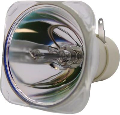 Jaspertronics AL™ Series 210-170W 0.9 E20.9 Bulb (Lamp Only) for Various Projectors - 90 Day Warranty