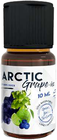 EnjoySvapo Arctic Grape Aroma Concentrato 10ml Uva Fragola Lime Ghiaccio