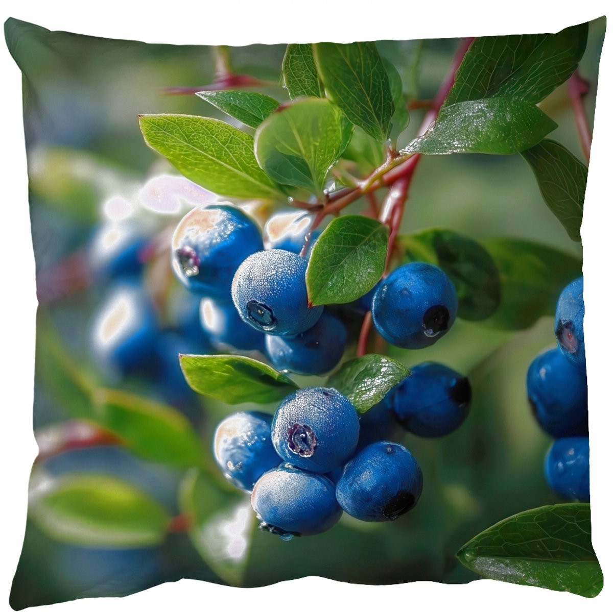 PillowMonkey Sierkussen Blauwe bessen en Dauwdruppels 60x60 cm