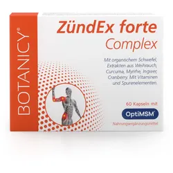 ZÜNDEX forte Complex – MSM Kapseln mit OptiMSM