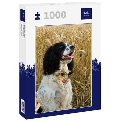 Lais Puzzle Springer Spaniel 1000 Teile