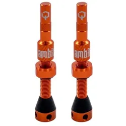 AMBIT Tubeless Ventil Set Realm | orange