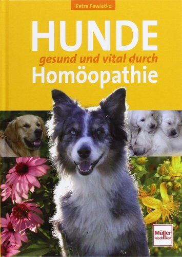 Petra Pawletko - Hunde gesund und vital durch Homöopathie - Preis vom 11.10.2026 03:10:56 h