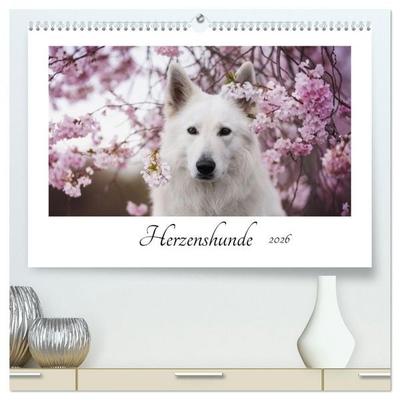 Herzenshunde 2026 (hochwertiger Premium Wandkalender 2026 DIN A2 quer), Kunstdruck in Hochglanz