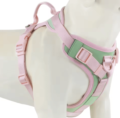 Inspire Picks ChocoLuxe Personalized No Pull Dog Harness For Small & Large Dogs cc Green m