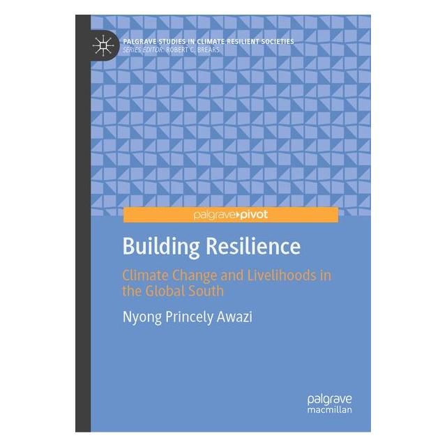 Springer Building Resilience (58161417)