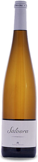 Bodegas y Viñedos Rodrigo Méndez Rodrigo Méndez Sálvora 2024 - 75cl