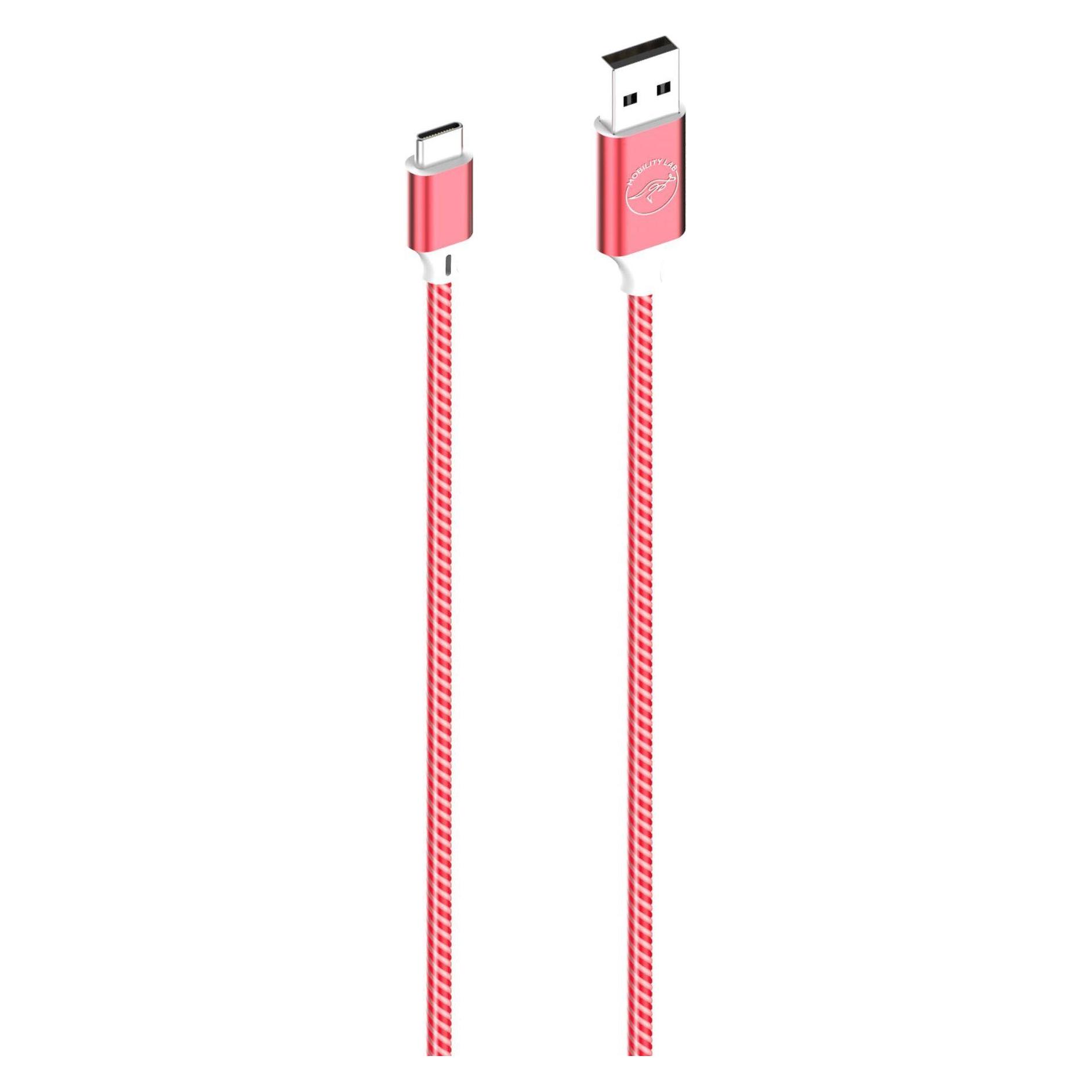 Mobility Lab Cable LED USB 2.0 type A - type C M/M 1m (Rouge) (1 m, USB 2.0, 10 W) (ML313085)