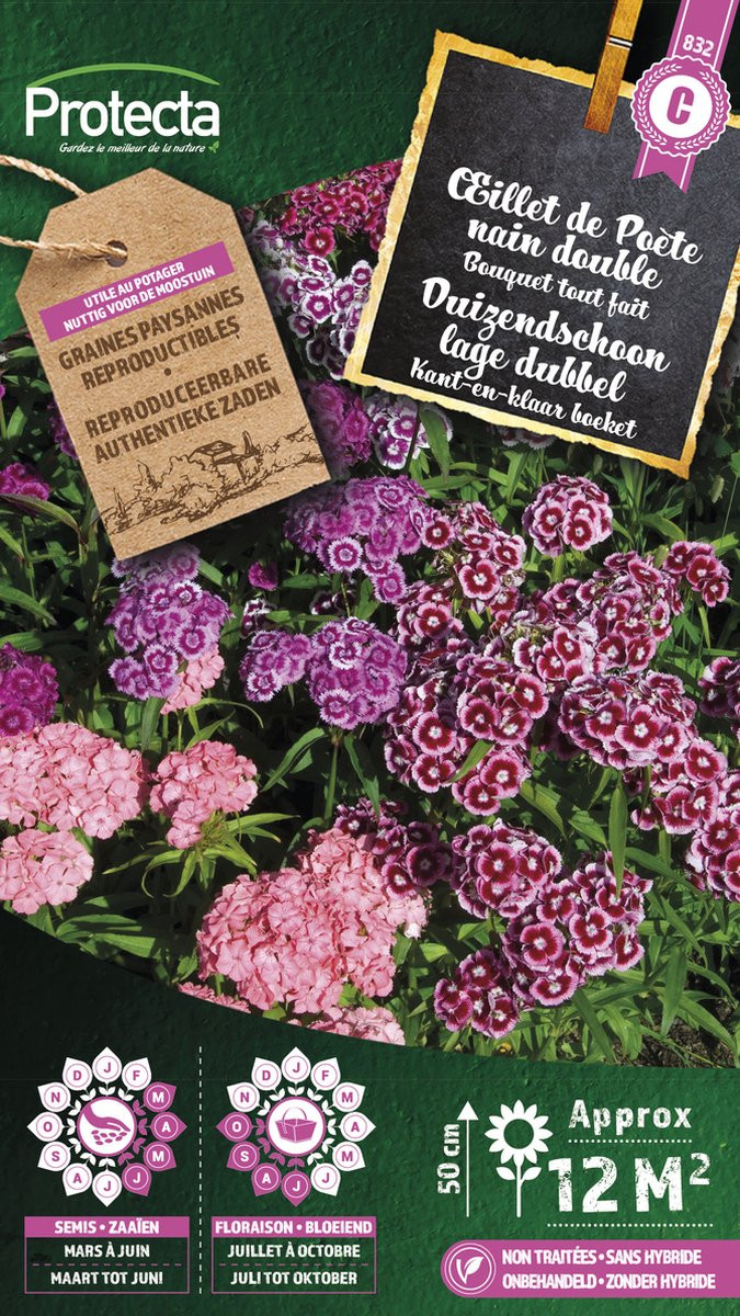 Protecta Bloemen zaden: Duizendschoon lage dubbel