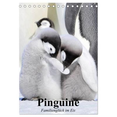 Pinguine. Familienglück im Eis (Tischkalender 2027 DIN A5 hoch), CALVENDO Monatskalender