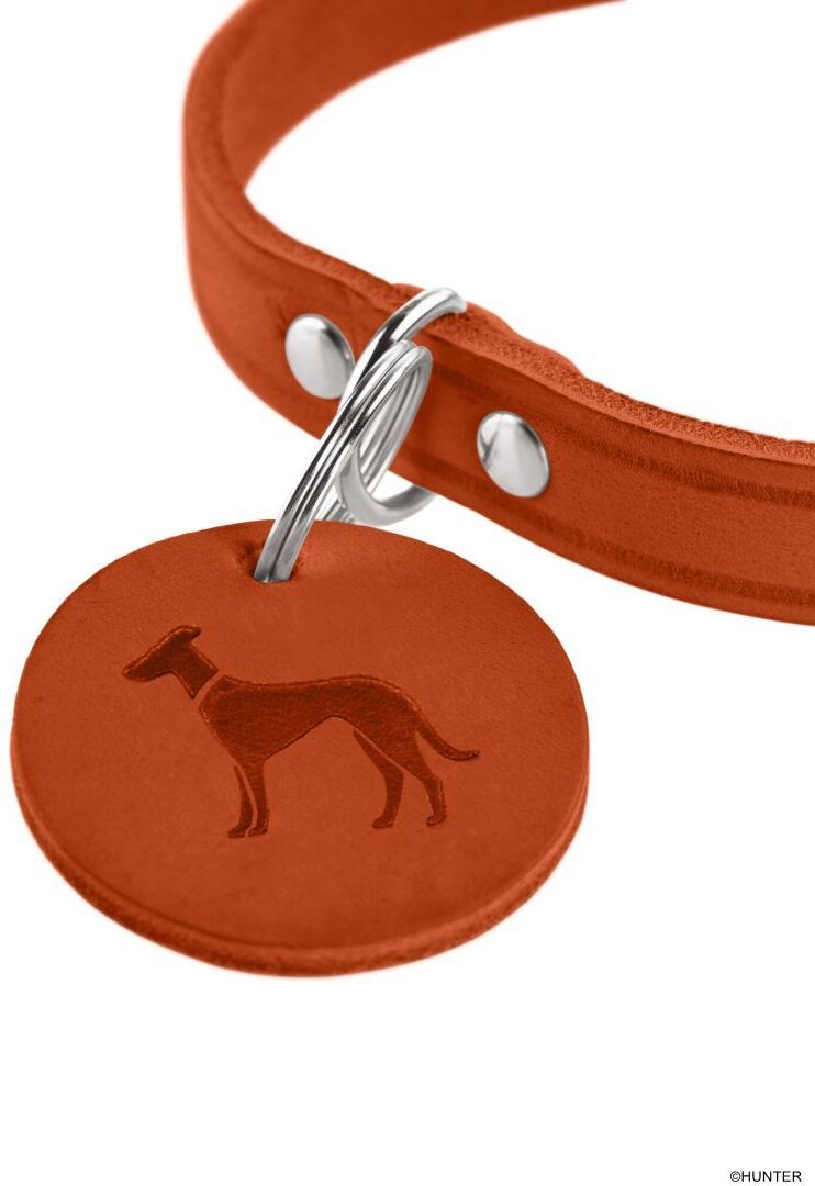 DOG SPORT HUNTER Halsband Aalborg M (52), orange