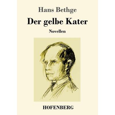 Der gelbe Kater, Taschenbuch von Hans Bethge, Hofenberg, 978-3-7437-2891-2