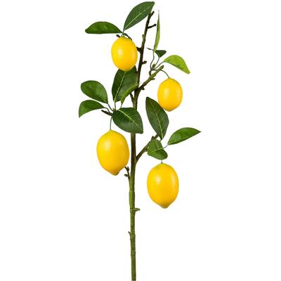 Kunstzweig CREATIV GREEN "Zitronenzweig", grün, H:68cm, Kunststoff, Kunstpflanzen, Kunstzweig, mit detailgetreuer Gestaltung