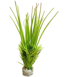 Sydeco Oasis Baby 18 Zentimeter Aquariendekoration