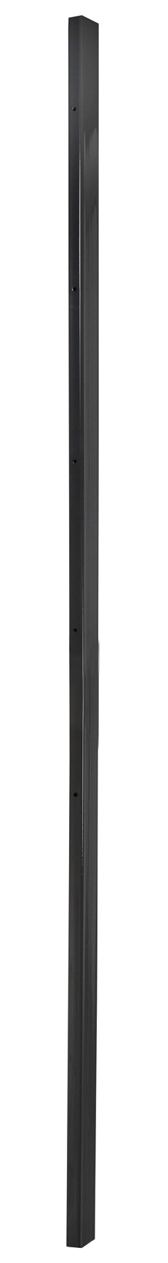 JUNGELMAR Pfosten f.Dekor-Sichtsch.-Wand L 2400 mm, anthr., z.Einbet. 09401897
