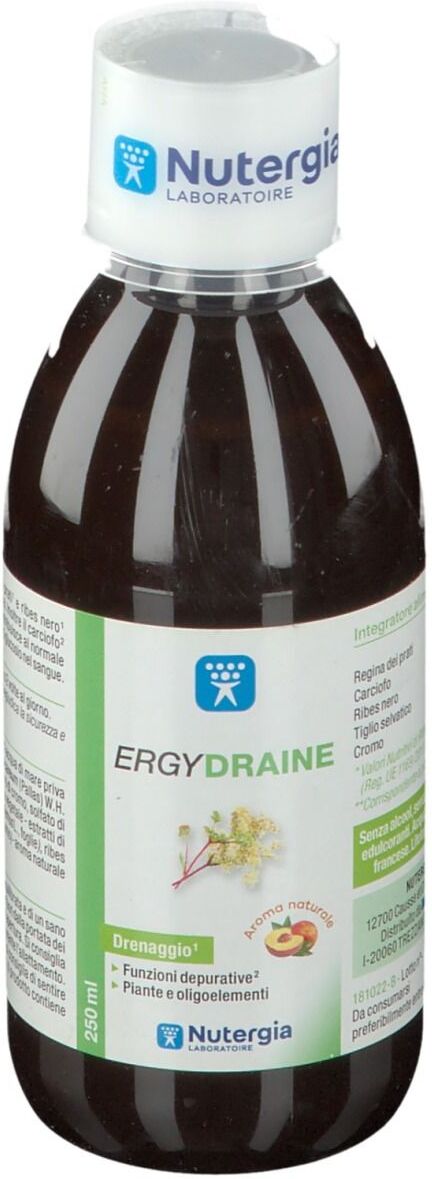 LABORATOIRE NUTERGIA Ergydraine 250ml, Integratore Senza Alcool e Zucchero, Energia Naturale, Gusto Pesca, Integratore con Ginseng e Mate