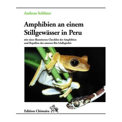 Amphibien an einem Stillgewässer in Peru, Gebundene Ausgabe von Andreas Schlüter, Chimaira, 978-3-930612-51-2