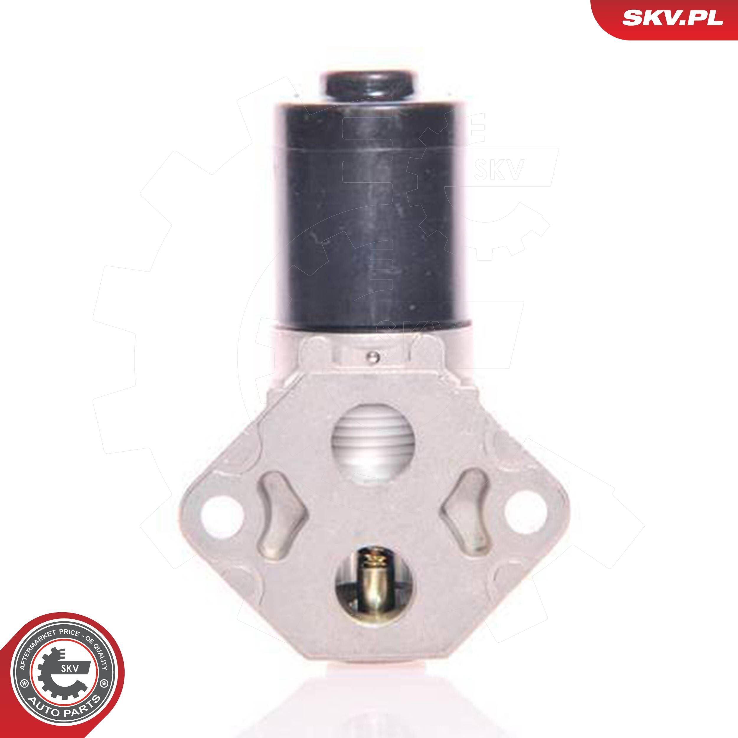 Esen Skv Leerlaufregelventil, Luftversorgung 08skv222 Für Standard Automobile Ford