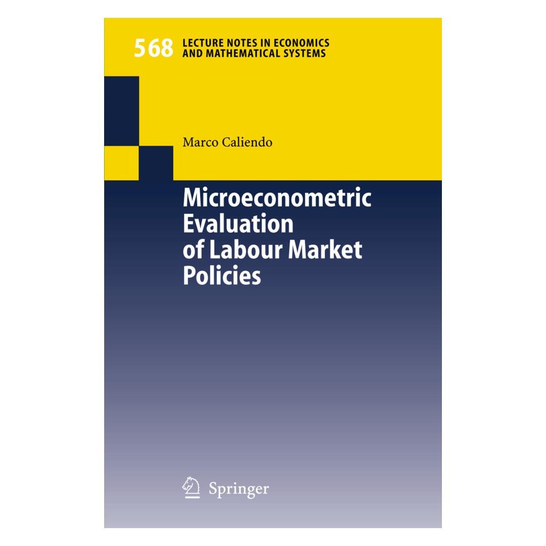 Springer Microeconometric Evaluation of Labour Market Policies (Englisch, Softcover, Marco Caliendo) (55188769)