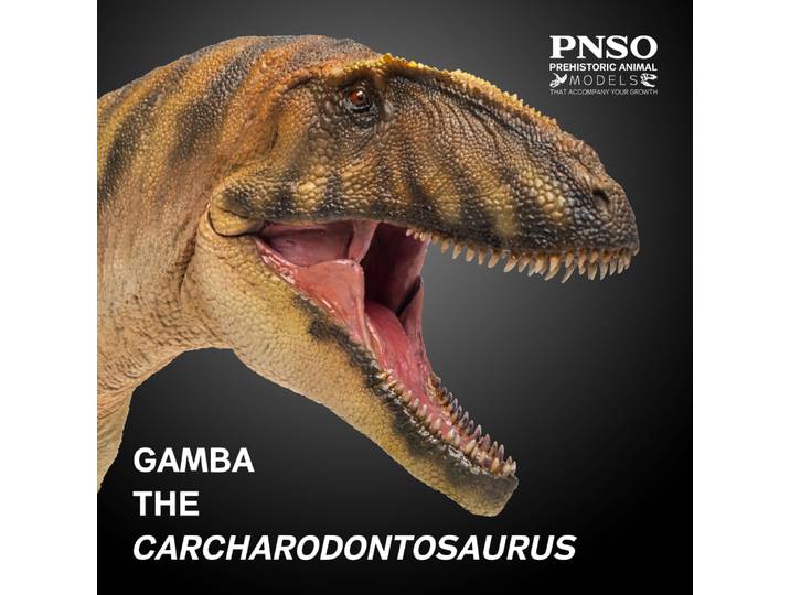 Modèles de dinosaures préhistoriques PNSO : 50 Gamba Le Carcharodontosaure