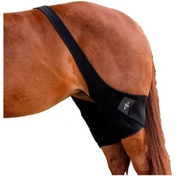 Professional's Choice, Pferdebeinschutz, (One Size)