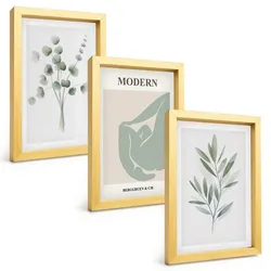 BILDER SET 3er Set - 20x30 cm Goldrahmen - Pflanzenmotive in Grün