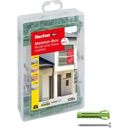 fischer Meister-Box - SX Plus Green S A2 Dübel- und Schrauben-Sortiment 120 Stück