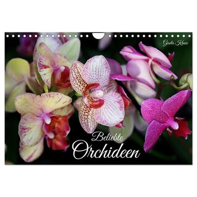 Beliebte Orchideen (Wandkalender 2026 DIN A4 quer), CALVENDO Monatskalender
