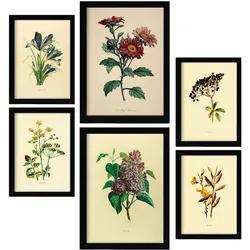 POSTER Set Mit 6 Dunkle Blumen In Vintage A3 & A4 Rahmenlos