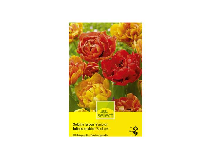 Select Blumenzwiebel Gefüllte Tulpen Sunlover ''