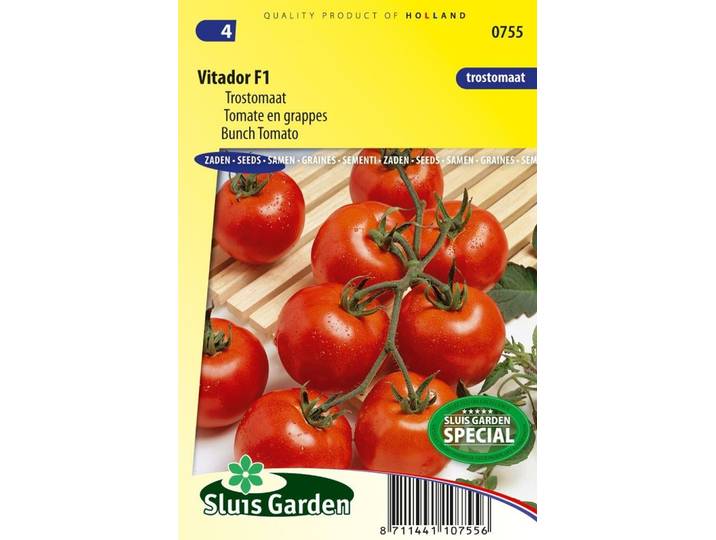 Tomaat zaden Vitador F1