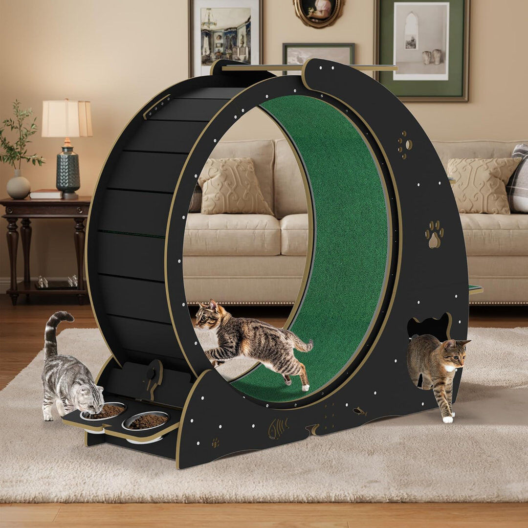 Blue Elephant 4-in-1 Indoor Cat Running Wheel, Large Quiet Running Wheel with Scratch Pad, Play Roller & Stable Wood Base for Active Cats Black 102.9cm H X 140cm W X 36.8cm D