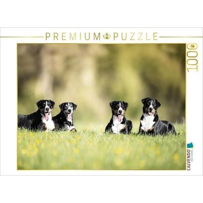 CALVENDO Puzzle Wir sind ein Team | 1000 Teile Lege-Größe 64x48cm Foto-Puzzle für glückliche Stunden