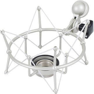 Neumann EA 1 Silber