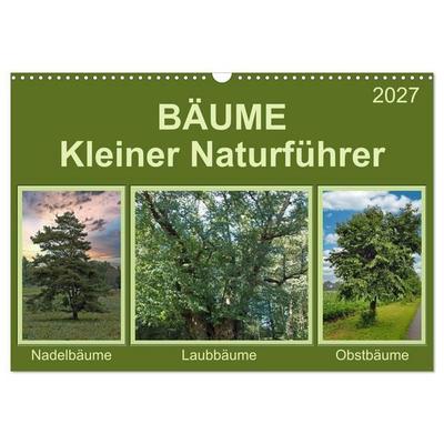 Bäume Kleiner Naturführer (Wandkalender 2027 DIN A3 quer), CALVENDO Monatskalender