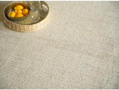 Exquisite Rugs Elements Handmade Hand Tufted New Zealand Wool Beige/Ivory Area Rug.