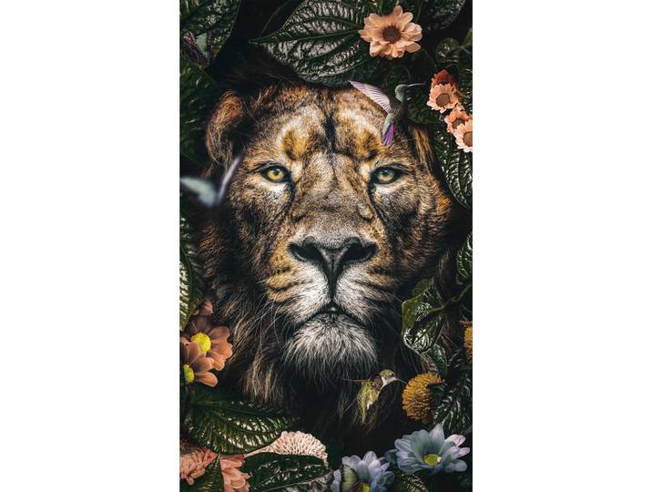 Wandkraft Bild, Mehrfarbig, Metall, Kunststoff, 70x118x5 cm, einfache und schnelle Anbringung, matt, Bilder & Rahmen, Bilder, Wandbilder