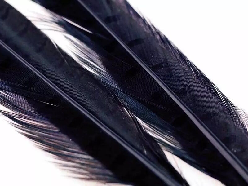 FlyCo Lystfisk.Dk Ringneck Pheasant Tail Feathers 1 Pair-Black