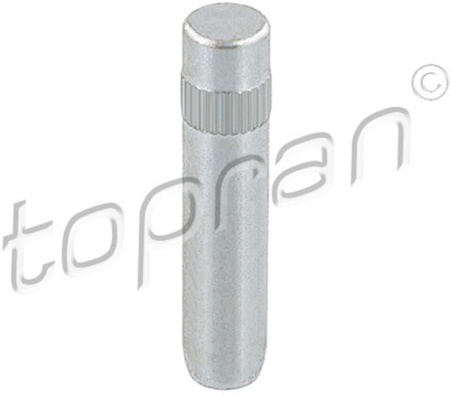 Topran Türscharnier HANS PRIES 103 416