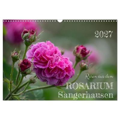 Rosen aus dem Rosarium Sangerhausen (Wandkalender 2027 DIN A3 quer), CALVENDO Monatskalender