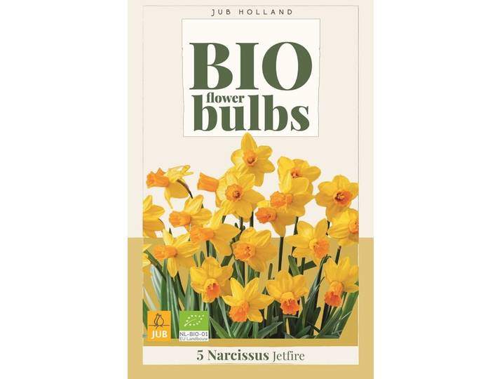 Bio narcis jetfire 5 bollen
