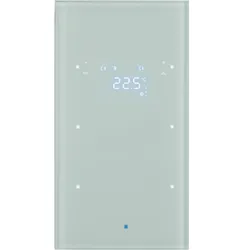 Berker 75642030 Glas-Sensor 2fach mit Temperaturregler TS Sensor, polarweiß